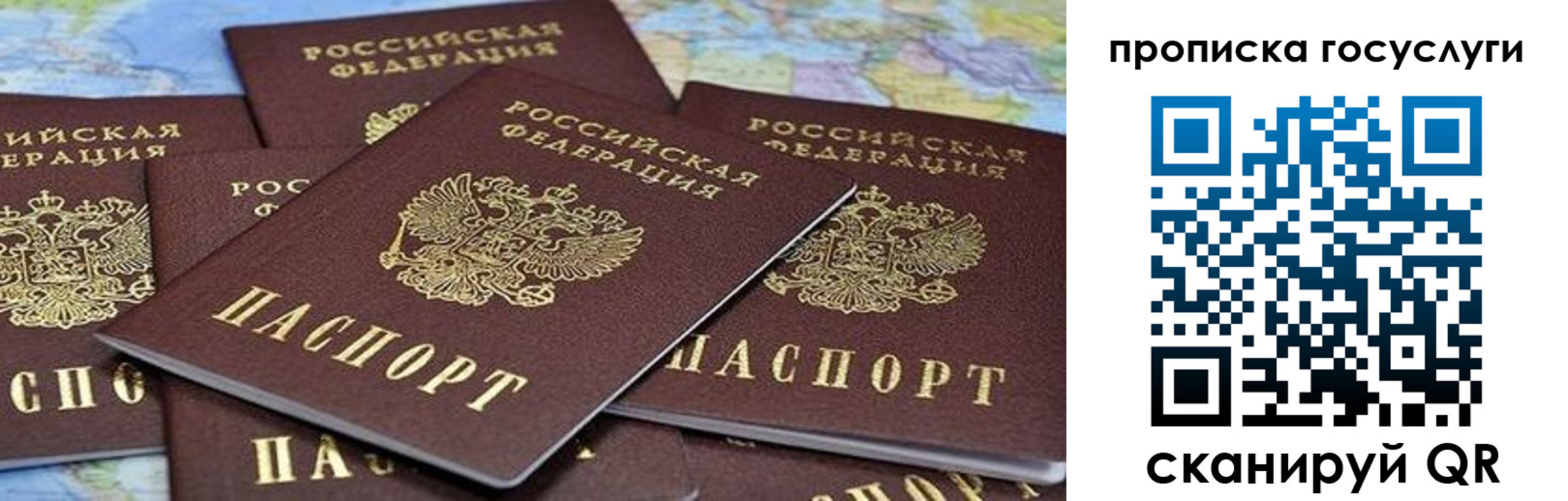 пропишу в квартире в Читинской области